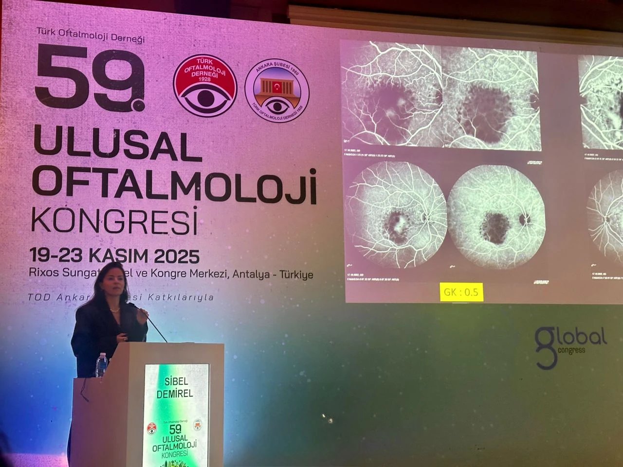 Prof. Dr. Sibel Demirel — Kongreler & Bilimsel Toplantılar
