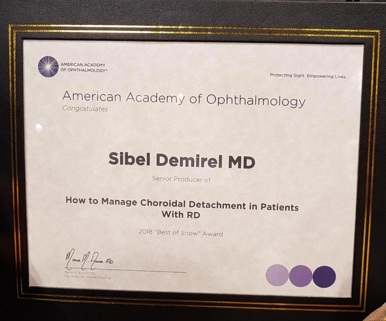 Prof. Dr. Sibel Demirel — Ödüller & Belgeler
