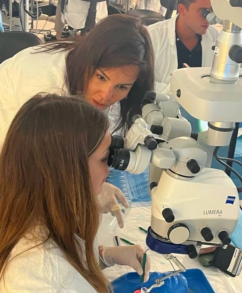 Prof. Dr. Sibel Demirel — Eğitim & Wetlab