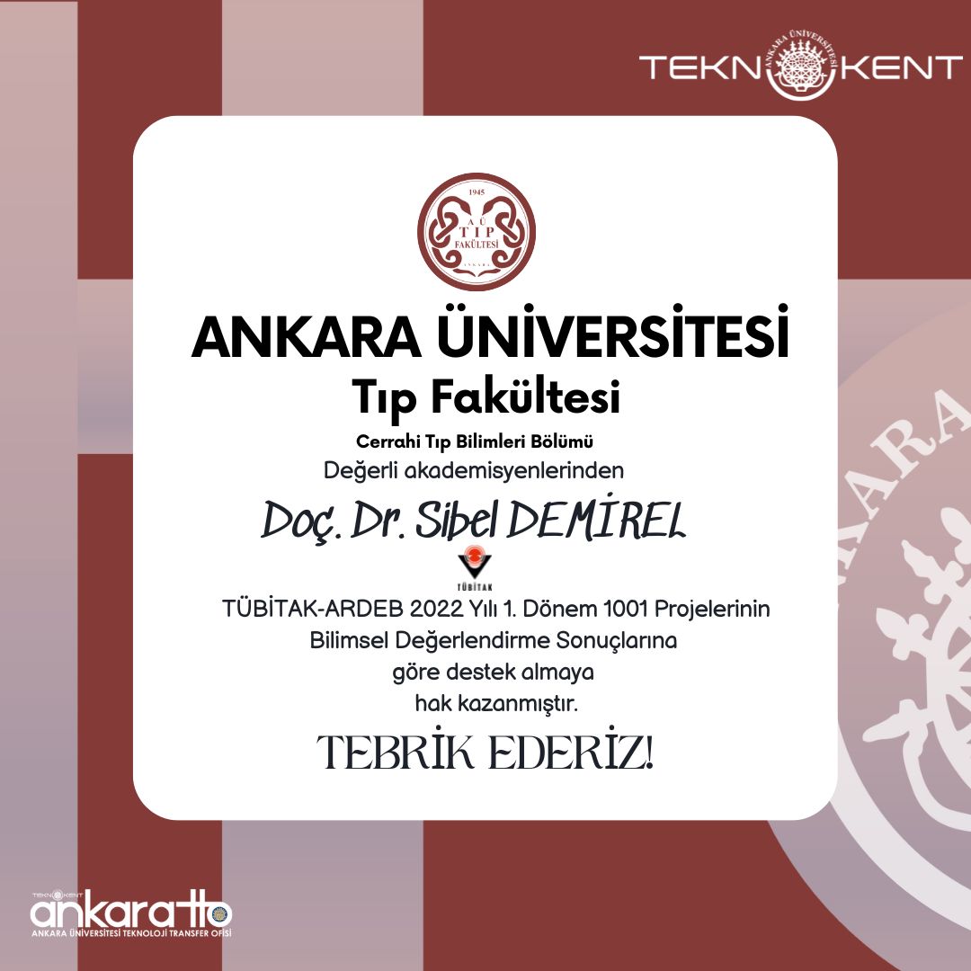 LinkedIn gönderi görseli